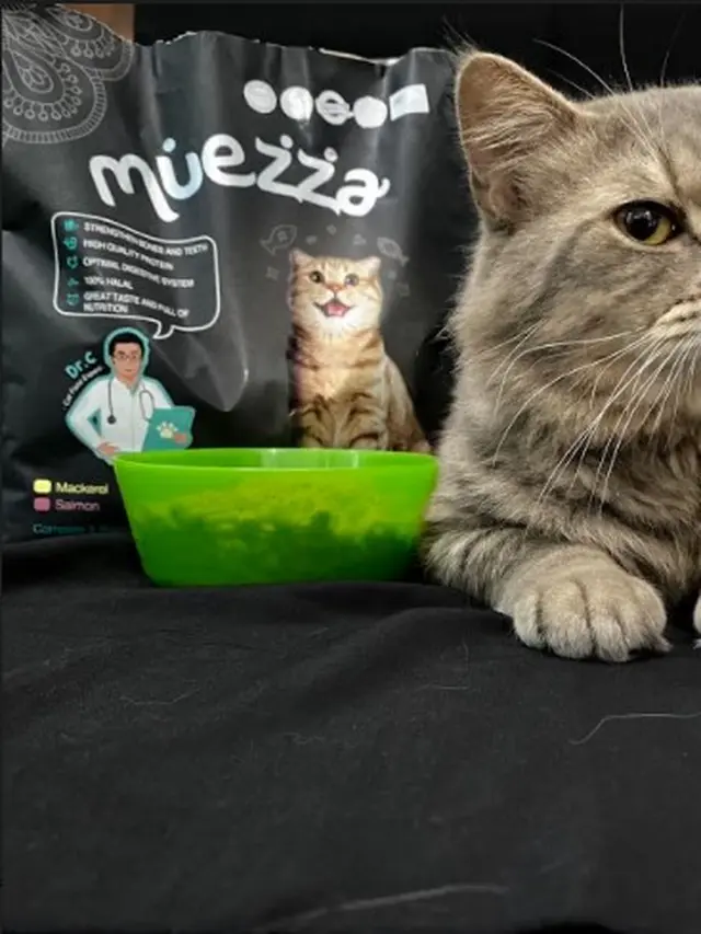 Muezza