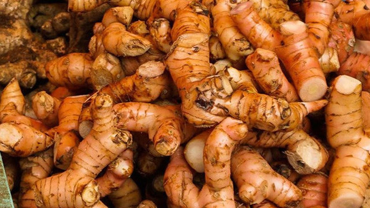 Khasiat Jahe yang Menakjubkan untuk Kesehatan, Pengendalian Gula Darah, dan Peningkatan Imunitas