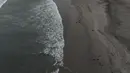 Pelikan mati tergeletak di pantai Santa Maria di Lima, Peru, Selasa (29/11/2022). Setidaknya 13.000 pelikan telah mati sejauh ini pada bulan November di Sepanjang Pantai Pasifik Peru akibat flu burung, menurut The National Forest and Wildlife Service (Serfor) pada hari Selasa. (AP Photo/Guadalupe Pardo)