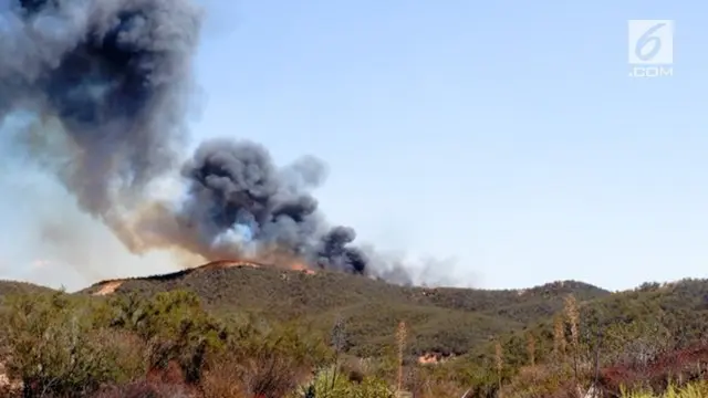 VIDEO: 'Charlie Fire' Melahap 3400 Hektar Lahan di Los Angeles