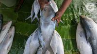 Pedagang menunjukkan ikan bandeng dari air tambak di kawasan Rawa Belong, Jakarta, Rabu (10/2/2021). Menjelang perayaan Imlek atau Tahun Baru China, ikan bandeng yang mencapai berat 1 - 5 kilogram dijual dengan harga Rp 60 ribu hingga 100 ribu per kilogram. (Liputan6.com/Fery Pradolo)