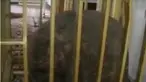 Pria di Jombang mengklaim dirinya penerus Nabi Isa, hingga ratusan bupati dan walikota beserta pasangannya dilantik hari ini.
