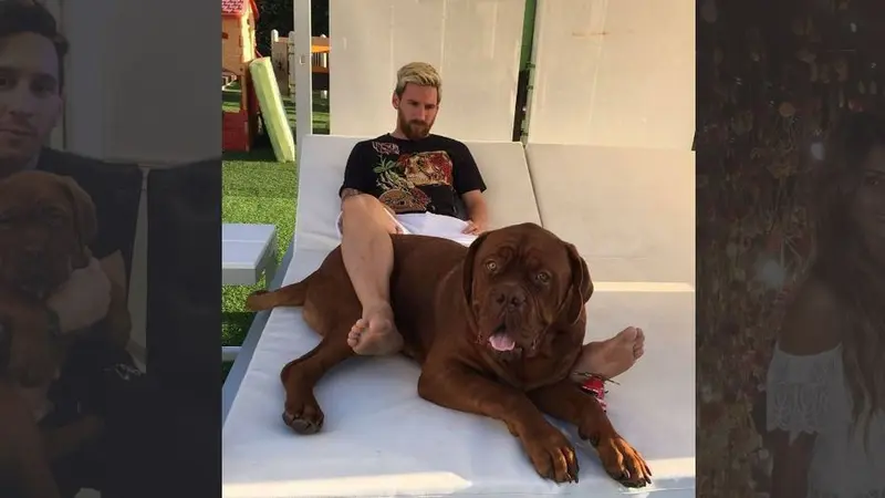 Anjing peliharaan Lionel Messi