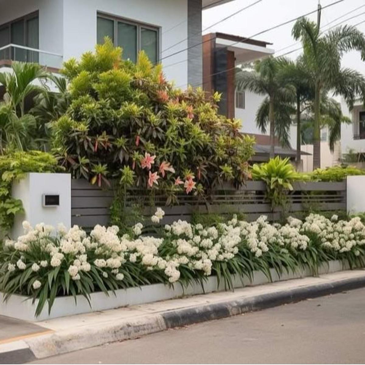 Ilustrasi Taman Depan Rumah Minimalis di Lahan Sempit (©Pinterest)