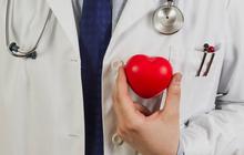 Mengenal Rekan Kerja Jantung, Organ-Organ Penting Penjaga Keseimbangan Tubuh