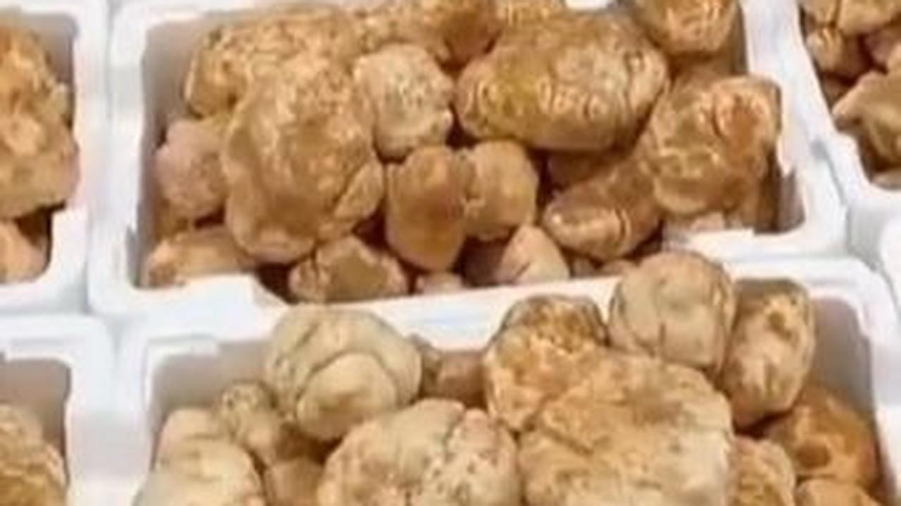 WNI bernama Alman Mulyana itu menyebut, jika Pega merupakan salah satu makanan favorit Rasulullah SAW.