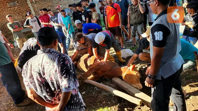 Ibadah kurban di Hari Raya Idul Adha Memberi Berbagai Manfaat, Apa Saja? (Foto: Ade Nasihudin/Liputan6.com)