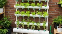 8 Tanaman Paling Tahan Panas untuk Kebun Vertikal PVC, Cocok Rumah Sempit Minim Cahaya