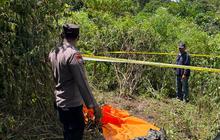 Sisa Tulang Belulang, Begini Kondisi Mengenaskan Pria Diterkam Harimau di Lampung Barat
