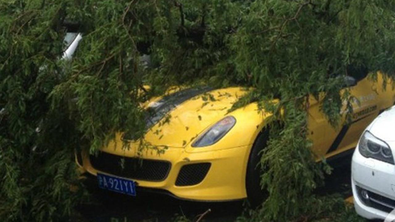 Ferrari 599 GTO Tertimpa Pohon (carnewschina)
