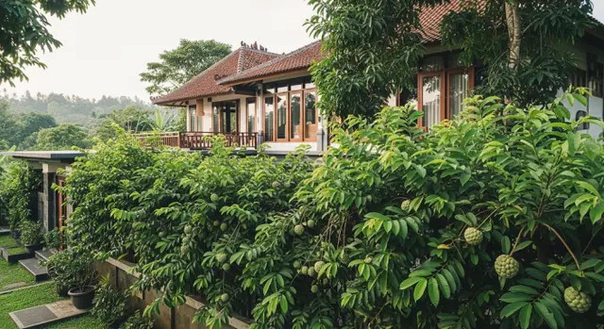 12 Pilihan Pohon Buah untuk Rumah Dekat Sungai agar Tidak Didatangi Ular