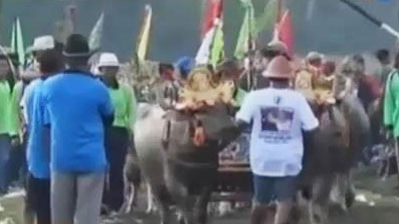 Segmen 3: Korban Kapal Tenggelam hingga Tradisi Adu Balap Karbau