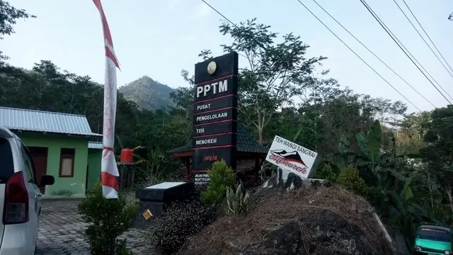 Teh Menoreh Kulon Progo