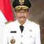 Drs. H. Djarot Saiful Hidayat, MS adalah Wakil Gubernur DKI Jakarta yang menjabat sejak 17 Desember 2014.