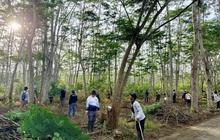 Dishut Kalsel Perkuat RHL Bundaran Pohon Jokowi dengan Penanaman Pohon Tanjung