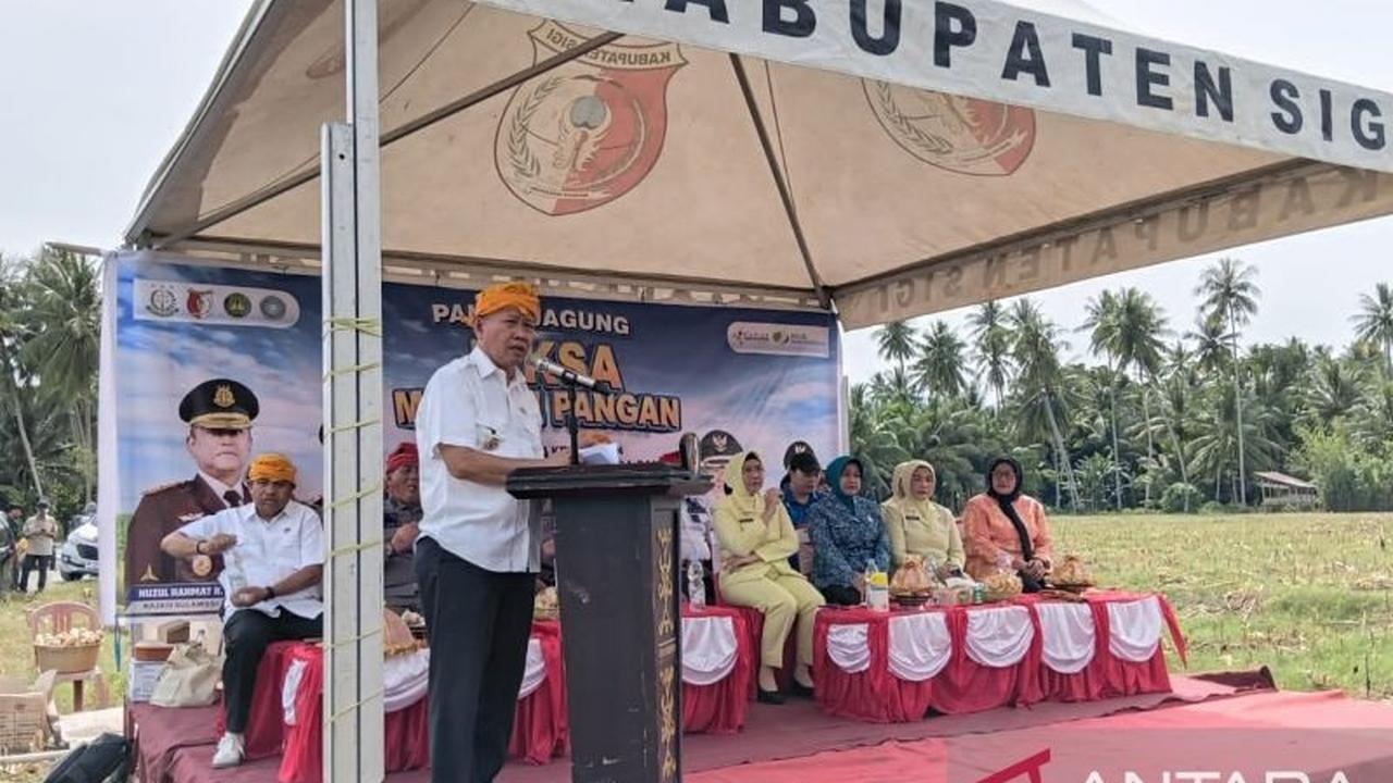Pemkab Sigi Pastikan Ketahanan Pangan Melalui Panen Raya Jagung dan Padi