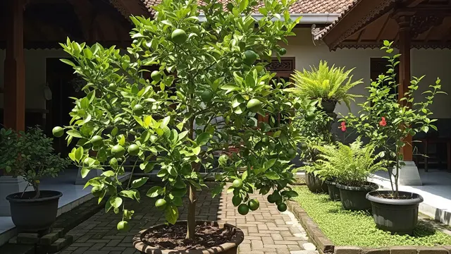 14 Pohon Buah yang Tidak Mudah Diserang Ulat Daun, Pilihan untuk Kebun Organik