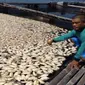Ribuan ikan di karamba WKO mengambang mati mendadak menyusul wabah air putih beracun yang melanda Sabtu, 7/7/2018. (Foto: Liputan6.com/Joglosemar.co/Wardoyo)