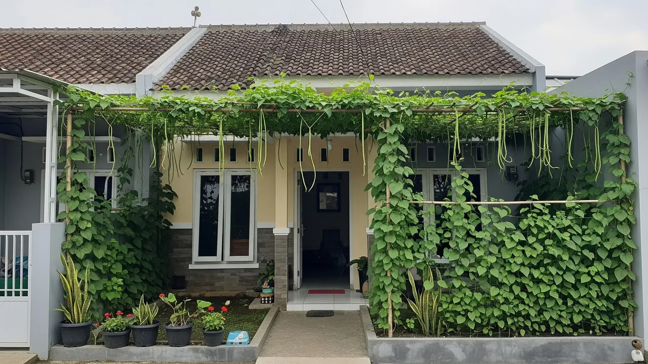 Ide Kanopi Sayur Rambat untuk Rumah Tipe 36 yang Sejuk dan Hemat Tempat