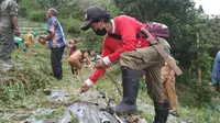 Seorang petani anggota kelompok tani Selaras Alam di Desa Dombu Sigi tengah memanen bawang putih yang mereka tanam sejak bulan April, 2020. Upaya itu untuk mendukung target swasembada bawang putih nasional. (Foto: Liputan6.com/ Heri Susanto).