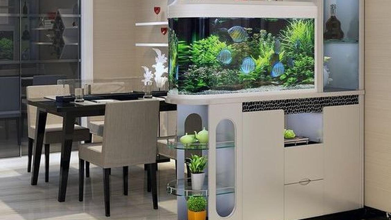 Kolam Ikan Minimalis di Dapur dengan Aquarium