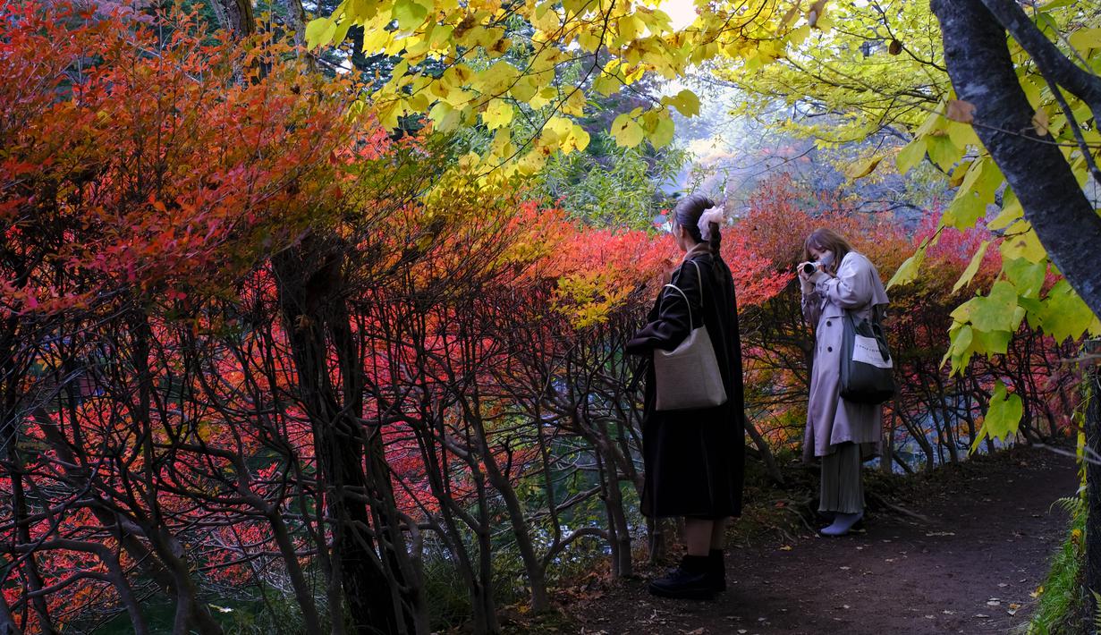 Orang-orang yang memakai masker untuk membantu mengekang penyebaran virus corona berfoto sambil berjalan di sepanjang jalan setapak saat pepohonan mulai berubah warna dedaunan musim gugur di Nagano, barat laut Tokyo, Jepang, Senin (26/10/2020). (AP Photo/Kiichiro Sato)