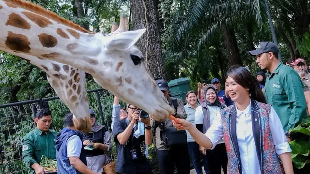 Taman Margasatwa Ragunan Targetkan 80 Ribu Pengunjung di 1 Januari 2025, Siapkan 30 Pintu Masuk hingga Akses Ramah Disabilitas