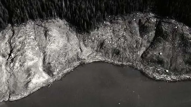 Pemandangan lain Teluk Lituya dari bagian hulu teluk menuju ke arah laut, memperlihatkan dampak dari gelombang raksasa. (Universitas California - Berkeley).