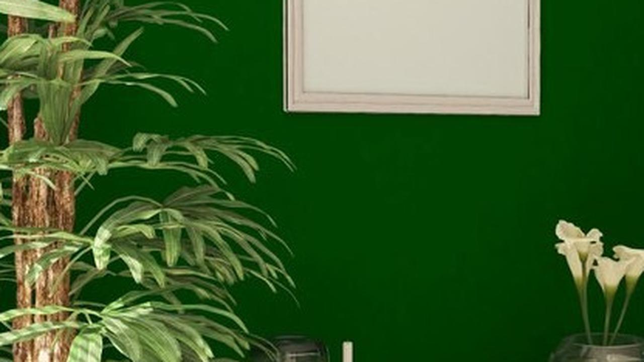 Nuansa Forest Green: Warna yang Menghijau di Semua Sudut