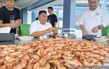 Tahukah Anda? Selain AS, Babel Bidik Ekspor Udang ke Arab Saudi: Peluang Emas Ekonomi Lokal