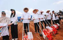 Trivia: DPD RI Luncurkan Program Senator Peduli Ketahanan Pangan, Targetkan 5.000 Hektare Lahan Jagung