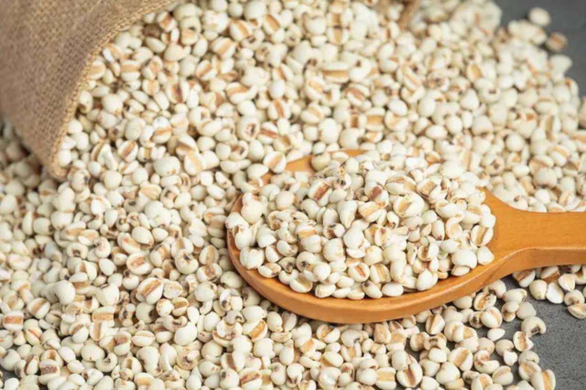 Pilihan Menu Diet Pengganti Nasi yang Mudah dan Kaya Nutrisi
