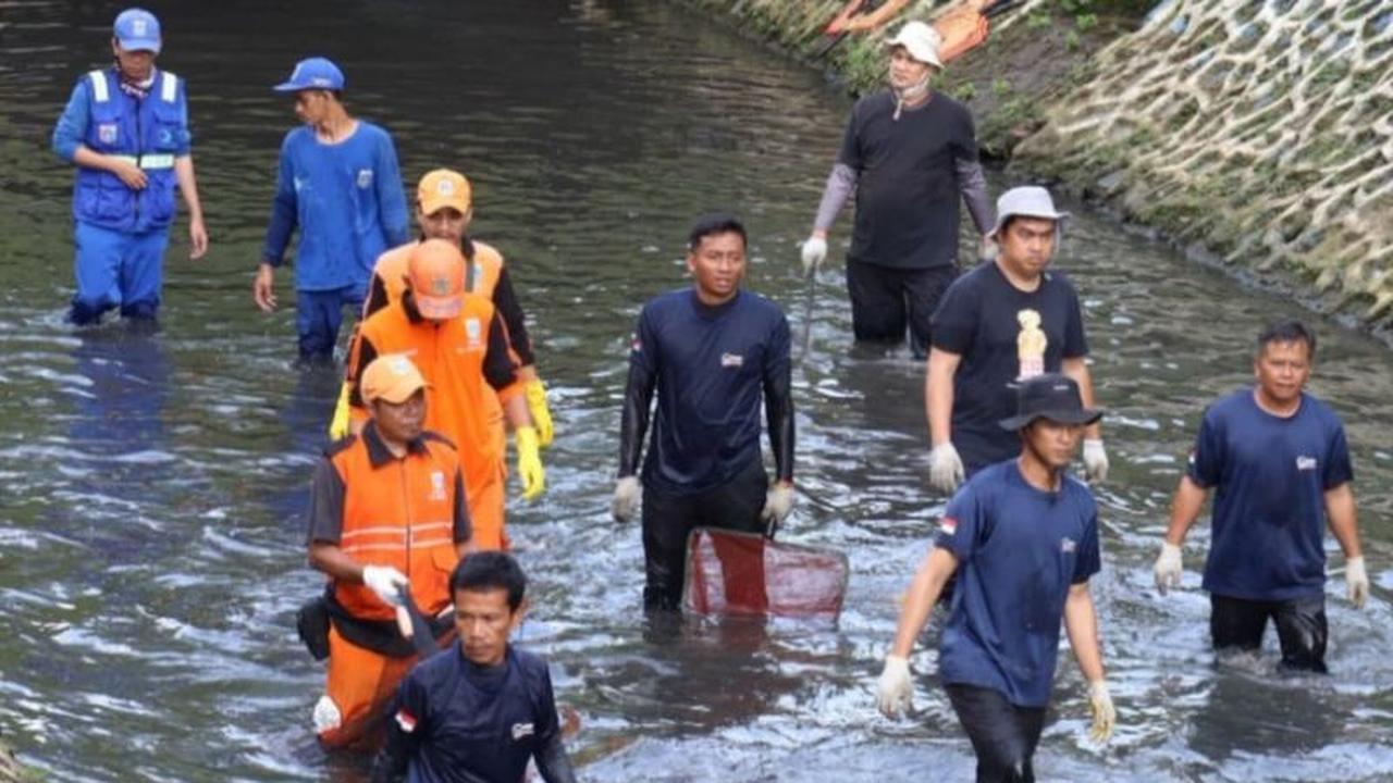 Gubernur DKI Dukung Penangkapan Ikan Sapu-Sapu, Ancaman Kesehatan dan Ekosistem Teratasi