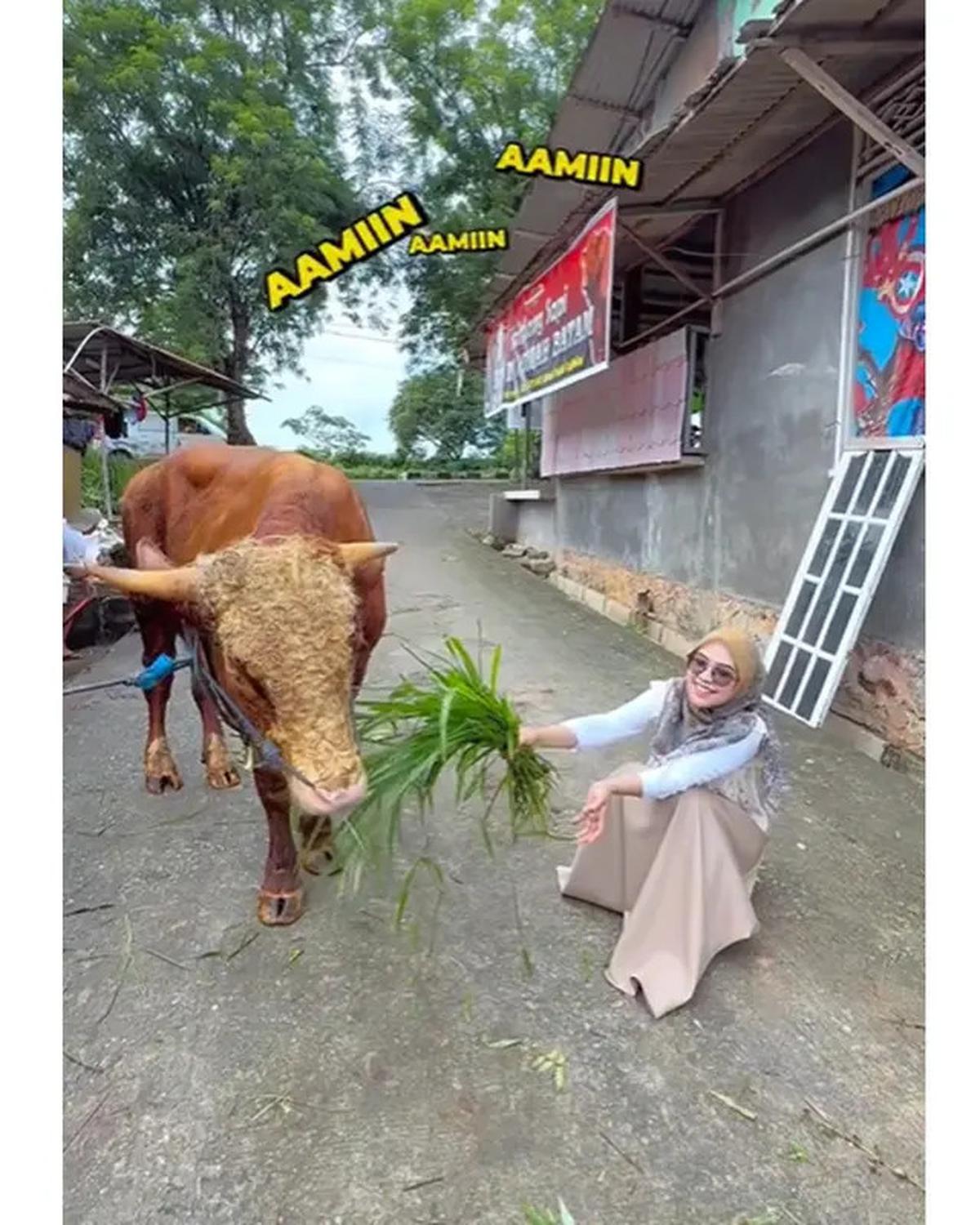 7 Artis Kurban Sapi di Idul Adha 2025, Raffi Ahmad hingga Ruben Onsu