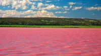Danau Burlinskoye di Siberia berubah warna menjadi pink pada musim panas. Sumber: Lost at E Minor
