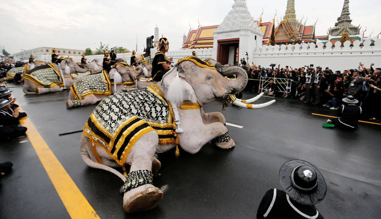 Gajah Ayutthaya duduk ditunggangi pawangnya memberikan penghormatan kepada mendiang Raja Thailand Bhumibol Adulyadej di depan Royal Palace, Bangkok, Thailand (8/11). Gajah merupakan hewan yang dikeramatkan oleh warga Thailand. (Reuters/Jorge Silva)
