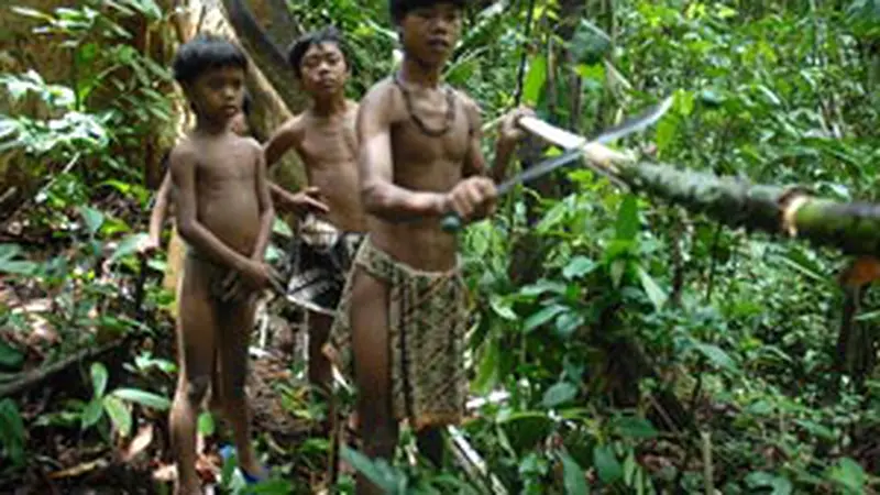 Orang Rimba