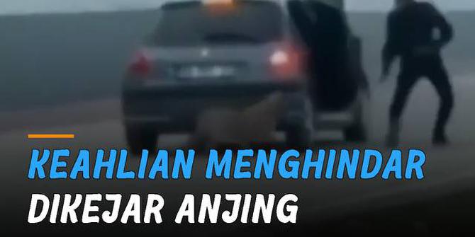 VIDEO: Dikejar Anjing, Pria Tunjukkan Keahlian Menghindarinya