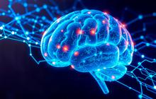 Lawan Brain Fog dengan Gerakan: Studi Ungkap 5 Menit Aktivitas Fisik per Hari Bisa Tajamkan Otak