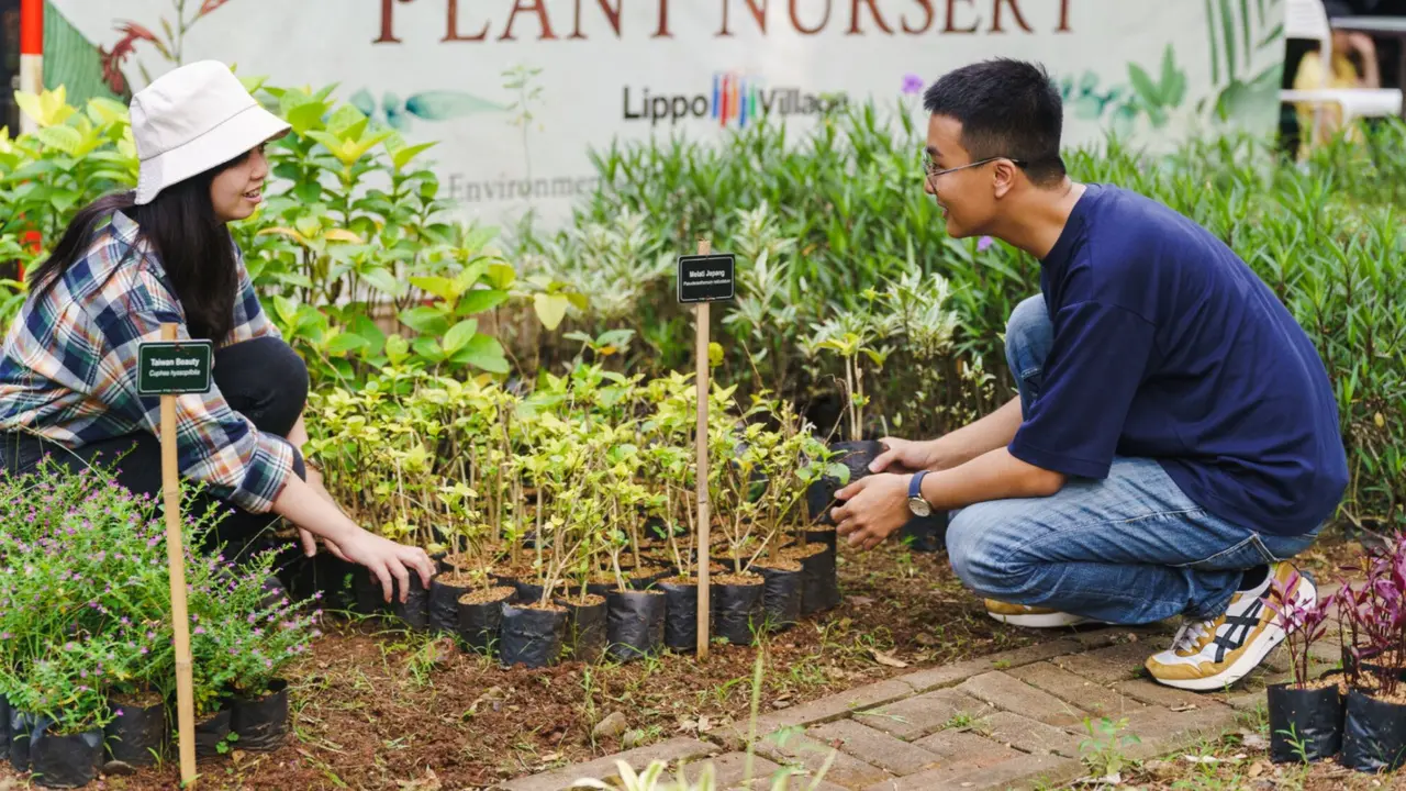Pengurangan emisi