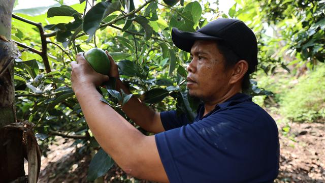 Menengok Desa Kelawi Surga Tersembunyi di Lampung Selatan Miliki Inovasi Berkelanjutan