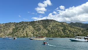 Pemandangan dari dermaga&nbsp;Loh Buaya, Pulau Komodo, Taman Nasional Komodo (TNK) di lepas pantai Labuan Bajo, Nusa Tenggara Timur (NTT). (Liputan6.com/Asnida Riani)