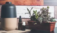 Upgrade Suasana Rumah dengan Diffuser Oil Terbaik yang Wanginya Bikin Betah