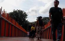 Aksi Heroik Seorang Ibu, Rela Tertimpa Pohon Tumbang Demi Selamatkan Anak