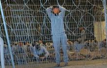 Kesaksian Mengejutkan Bekas Tahanan Guantanamo, Penyiksaan Keji Israel ke Warga Palestina yang Ditahan Sama dengan Amerika