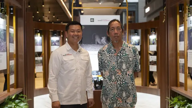 Secercah Asa dari Upaya Konservasi Macan Tutul Jawa yang Kian Kritis