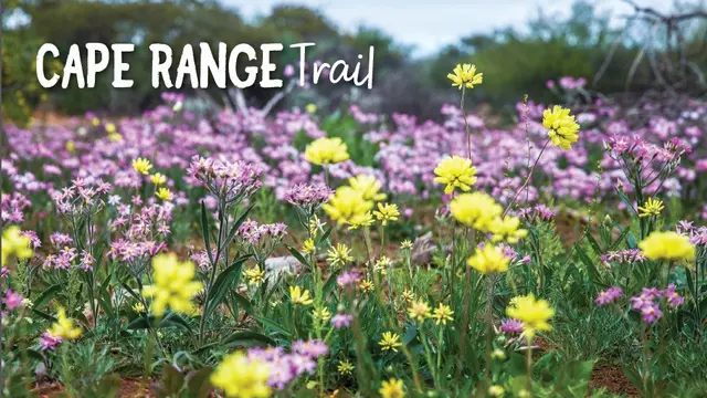 Cape Range Trail