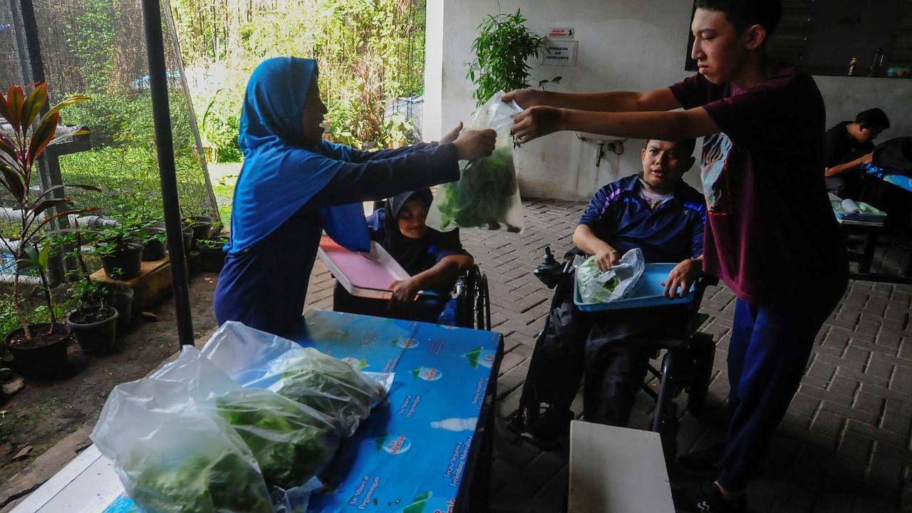Murid difabel panen selada air di kebun hidroponik YPAC