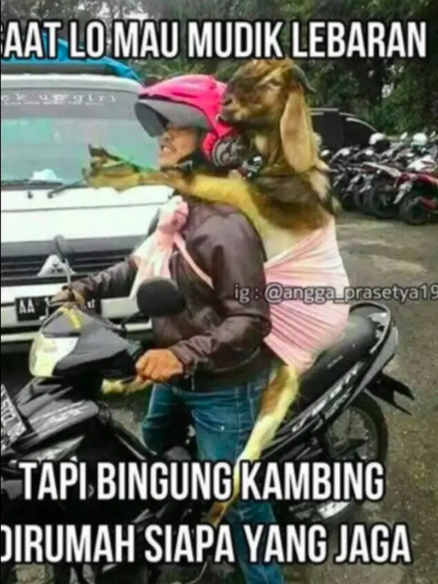 meme kocak mudik