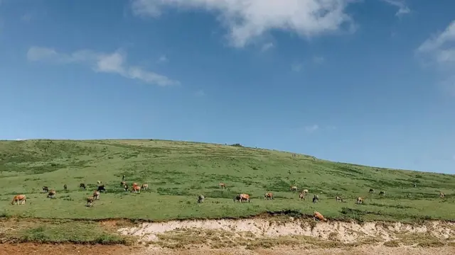 Wilayah Fulan Fehan, padang sabana di Gunung Lakaan.